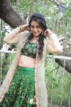 Ruchika Rajput New Photos - 47 of 77
