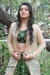 Ruchika Rajput New Photos - 51 of 77