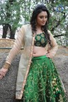 Ruchika Rajput New Photos - 53 of 77