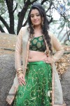 Ruchika Rajput New Photos - 58 of 77