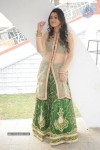 Ruchika Rajput New Photos - 62 of 77