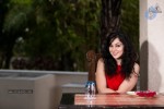 Saba Saudagar Portfolio - 5 of 26