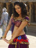 Sadha - 44 of 44