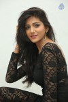 Shalu Photos - 2 of 84