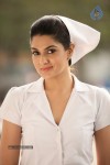 Sakshi Choudary Images - 18 of 31