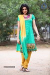 Sakshi Choudary Photos - 58 of 67