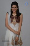 Sakshi Choudhary Gallery - 55 of 80
