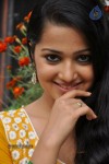 Samskruthy Stills - 58 of 105