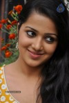 Samskruthy Stills - 96 of 105