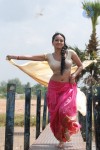 Sana Khan Hot Stills - 11 of 16