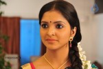Sanchitha Padukone New Pics - 21 of 37