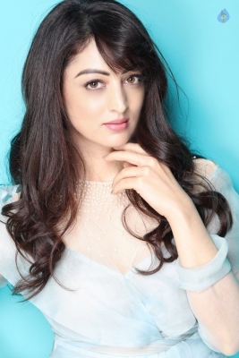 Sandeepa Dhar Photo Shoot Photos - 1 of 8