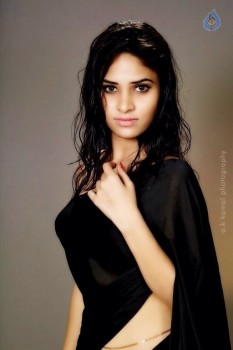 Saniyadhara New Photos - 11 of 12