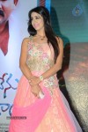 Sanjjanaa at Nuvvu Nenu Okatavudam Audio - 79 of 84