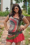 Sara Sharma Hot Stills - 11 of 92