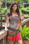 Sara Sharma Hot Stills - 65 of 92