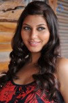 Sara Sharma Hot Stills - 76 of 92