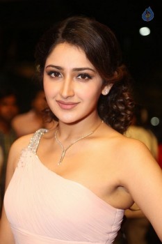 Sayesha at Zee Telugu Apsara Awards - 4 of 26