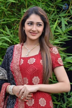 Sayyeshaa New Photos - 24 of 42