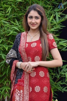 Sayyeshaa New Photos - 30 of 42