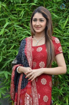 Sayyeshaa New Photos - 37 of 42