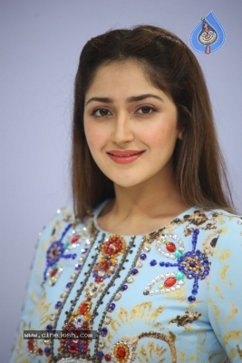 Sayesha Saigal Photos - 12 of 36