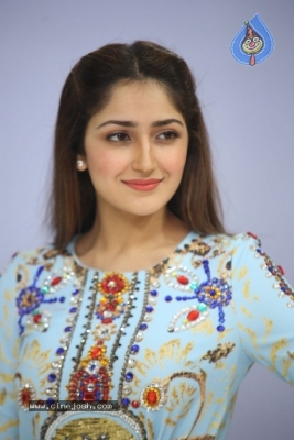 Sayesha Saigal Photos - 15 of 36