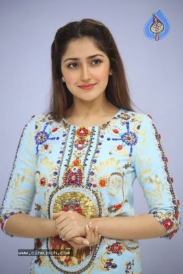 Sayesha Saigal Photos - 16 of 36