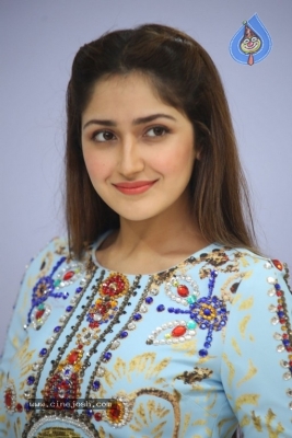 Sayesha Saigal Photos - 21 of 36