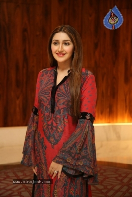 Sayyeshaa Pics - 6 of 19