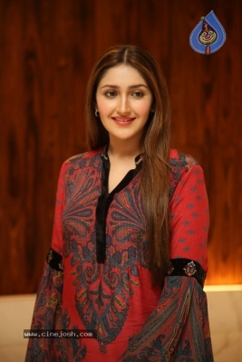 Sayyeshaa Pics - 12 of 19