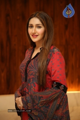 Sayyeshaa Pics - 19 of 19