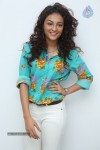 Seerat Kapoor New Stills - 37 of 130