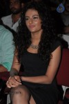 Seerat Kapoor Stills - 37 of 91