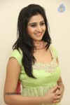 Shamili Gallery - 1 of 68