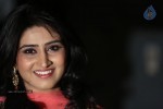 Shamili Gallery - 49 of 63