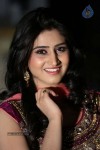 Shamili Gallery - 57 of 63