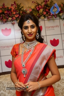 Shamili Sounderajan Images - 4 of 30