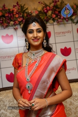 Shamili Sounderajan Images - 19 of 30