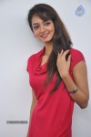 Shanvi Latest Photos - 9 of 85