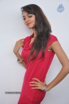 Shanvi Latest Photos - 73 of 85