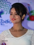 Shanvi Stills - 63 of 78