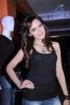 Shazahn Padamsee New Stills - 43 of 43