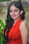 Sheena Latest Stills - 31 of 32