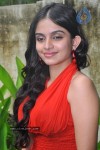 Sheena Latest Stills - 18 of 32