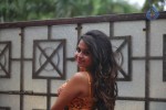 Sheena Shahabadi Latest Stills - 26 of 68