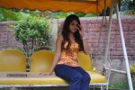 Sheena Shahabadi Latest Stills - 36 of 68