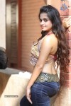 Sheena Shahabadi New Photos - 14 of 25