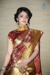 Shefali Sharma Latest Photos - 17 of 61