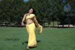 Exclusive Sheril Pinty Gallery - 15 of 58